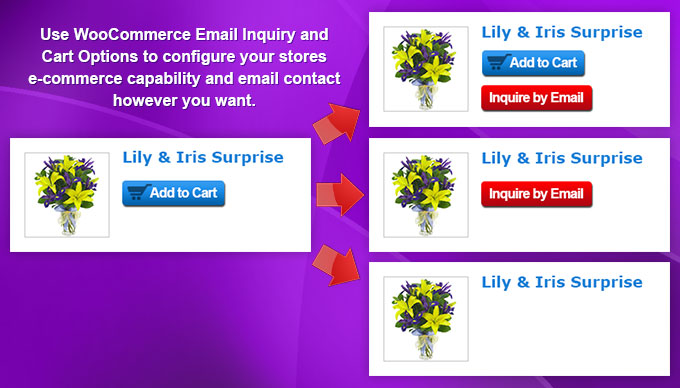 WooCommerce Email Inquiry & Cart Options